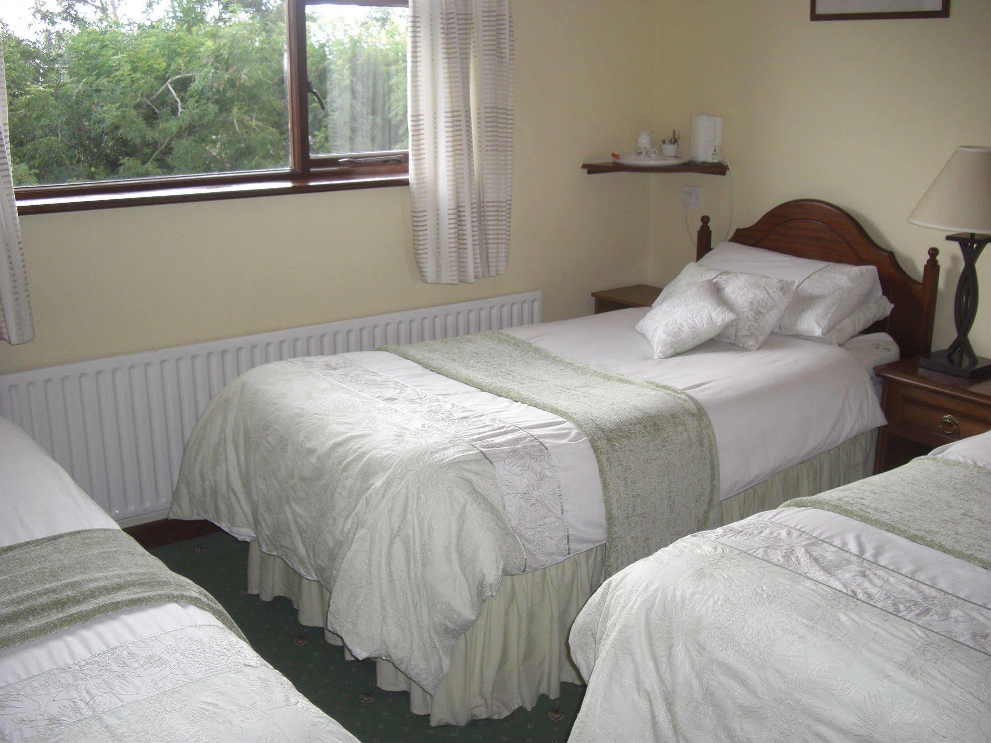 Springlawn Bed & Breakfast Clarinbridge ภายนอก รูปภาพ